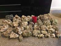 Reef rock / Marine Rock / live rock 40kg+ Reading, Berkshire