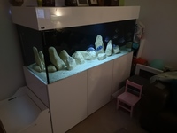 Stunning ND Aquatics 5ft 120g gloss white full setup for sale - London £350 SOLD pending collection