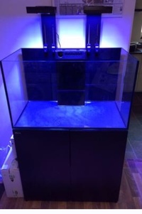 Reefer 250 and equipment