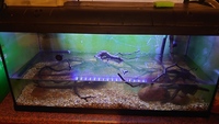 Tank for sale