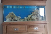 Aquarium Oak cabinet 120cm doors and drawers, 210 liters, with full equipment: £450 ono