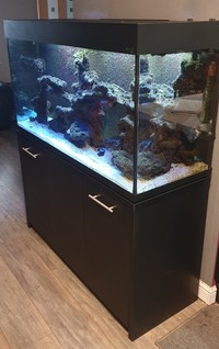 4ft Fish Tank, Full Marine Aquarium Setup