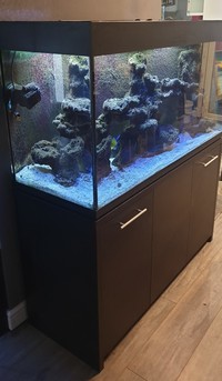 4ft Fish Tank, Full Marine Aquarium Setup