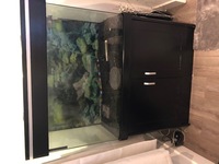 3.5FT Aqua one Fish Tank for Sale