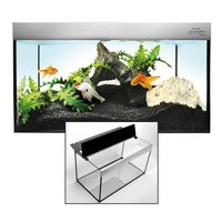Hugo Kashimi Simplicity Aquarium 36x12x15 (22.5 gallons) Less than 4 weeks old