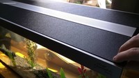 Hugo Kashimi Simplicity Aquarium 36x12x15 (22.5 gallons) Less than 4 weeks old
