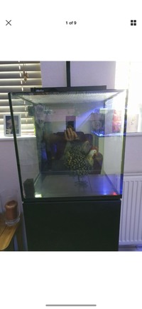 Red Sea Max Nano marine tank with AI Prime light and cabinet