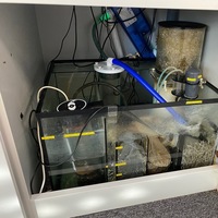 ELOS 160XL MARINE TANK & COMPLETE SET UP