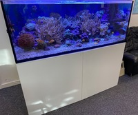 ELOS 160XL MARINE TANK & COMPLETE SET UP