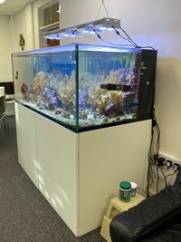 ELOS 160XL MARINE TANK & COMPLETE SET UP