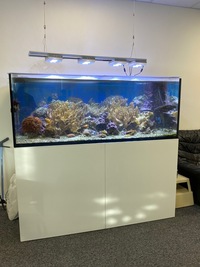 ELOS 160XL MARINE TANK & COMPLETE SET UP