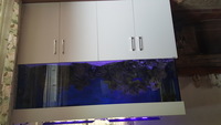 Fish tank with cabinet for sale - 830 litres, length 6ft 9 inches - excellent condition