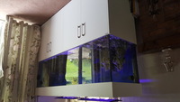 Fish tank with cabinet for sale - 830 litres, length 6ft 9 inches - excellent condition