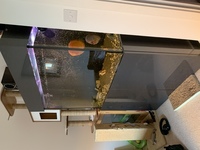 340L custom built tank and equipment for sale.