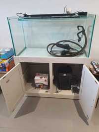 6 month old 220L Tank with full set up included