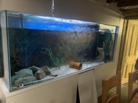 Monster Fish Tank