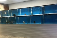 Aquatic Shop Contents For Sale