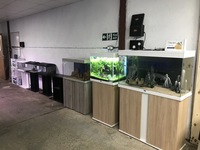 Aquatic Shop Contents For Sale