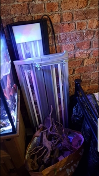 Arcadia luminaire OT2 £250. Consider swaps.