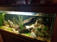 6 ft fish tank