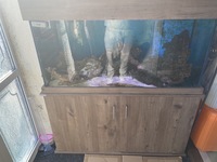 Clearseal 4 x 2 x 2 Marine setup with sump and top up tank