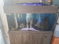 Clearseal 4 x 2 x 2 Marine setup with sump and top up tank