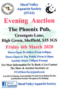 SVAS Night Auction ~ Friday March 6th 2020