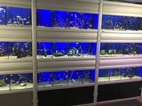 Aquatic Shop Systems & Contents For Sale