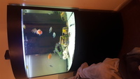 £200 Corner aquarium and fish