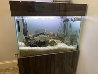 Tank for Sale