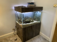 Tank for Sale