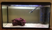 Fish Tank and accessories