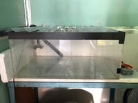 Perspex tank