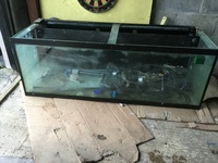 Marine tank