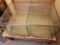 Garra Rufa Foot Spa/Dual Aquarium/Breeding/Holding Tanks - Southport