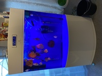 Cleair fish tank