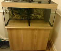Juwel Rio 180 with cabinet for Sale.