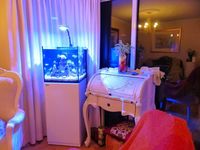 Red Sea Max Nano Marine Reefer Aquarium, Massive setup