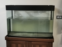 PRICE DROP 3.5 ft aquarium, light and heater £30