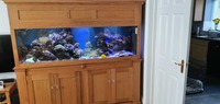 marine tank 6×2×2