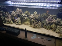 Marine tank