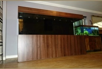 8ft tank & XXL clown loaches & XXL fire eels