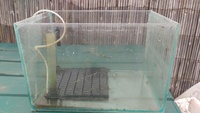 Large selection of Tropical fish equipment for Sale