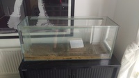 Large selection of Tropical fish equipment for Sale