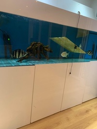 7x2x2 marine high gloss tank for sale