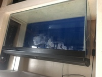 Aquariums & Racking for sale