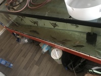 Aquariums & Racking for sale