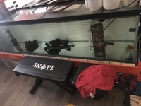 Aquariums & Racking for sale