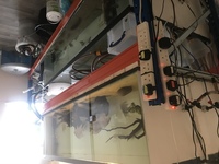 Aquariums & Racking for sale