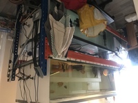 Aquariums & Racking for sale